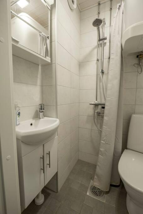 A Lovely Apartment Near Railway Station And Arena. Тампере Екстериор снимка